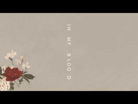Shawn Mendes “In My Blood” (Audio)
